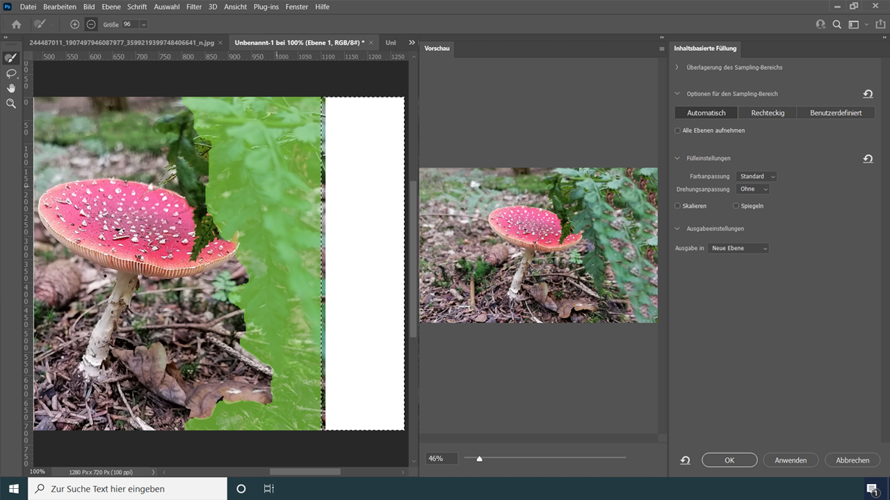 Photoshop Oberfläche mit einem Bild vom Fliegenpilz und verschiedenen Schaltflächen zur Bildbearbeitung.