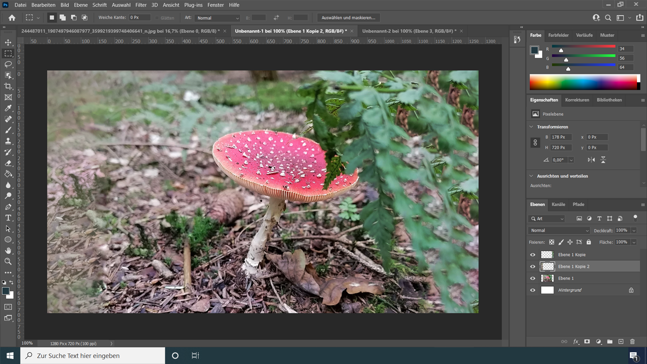 Photoshop Oberfläche mit einem Bild vom Fliegenpilz und verschiedenen Schaltflächen zur Bildbearbeitung.