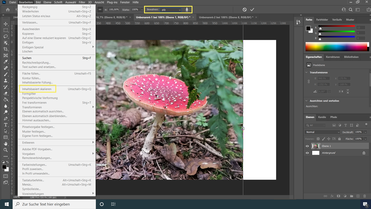 Photoshop Oberfläche mit einem Bild vom Fliegenpilz und verschiedenen Schaltflächen zur Bildbearbeitung.