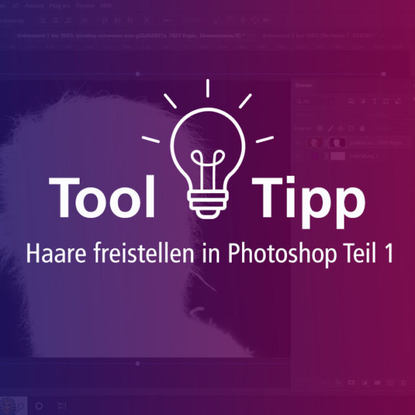 Haare freistellen: Tutorial 1