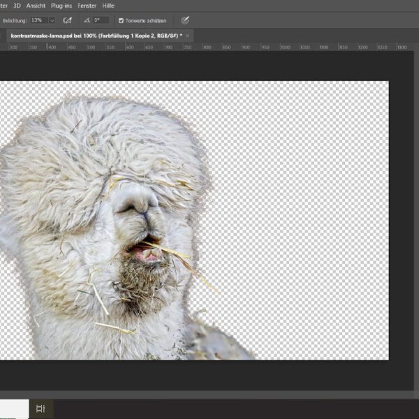 Screenshot des fertigen Freistellers mit transparentem Hintergrund in Photoshop.